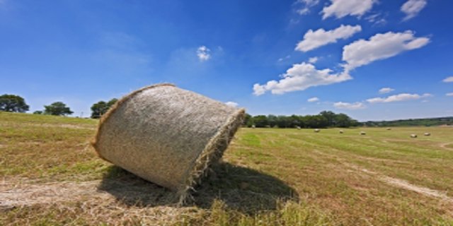 bydlení, stavba domu, výběr pozemku