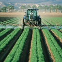 Jak zbavit přírodní cestou ovoce a zeleninu nebezpečných pesticidů?