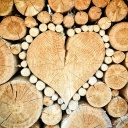 Topení dřevem je ekologické, zdravé a magické