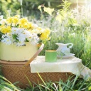 Slunečné dny přejí hodování v přírodě, vyrazte na piknik!