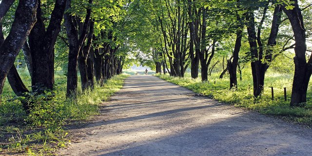 zdraví, fyzická aktivita, obezita, naváha, stravování